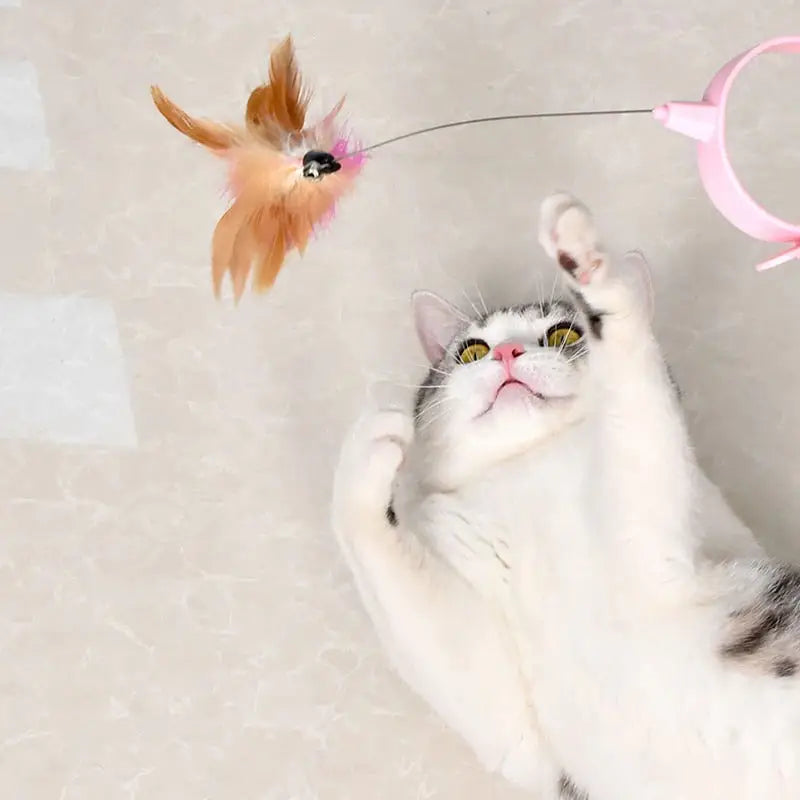 Un chat jouer ensemble avec un jouet sur le sol, produit ’Play together with CatyPlume’