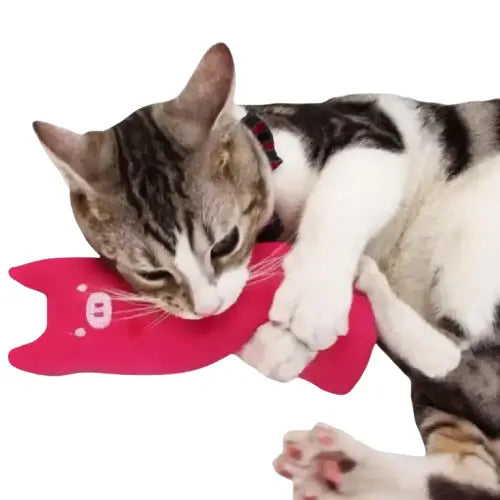 Jouet D’herbe à Chat: La Petite Dose De Bonheur Pour Votre Félin Transparent Background