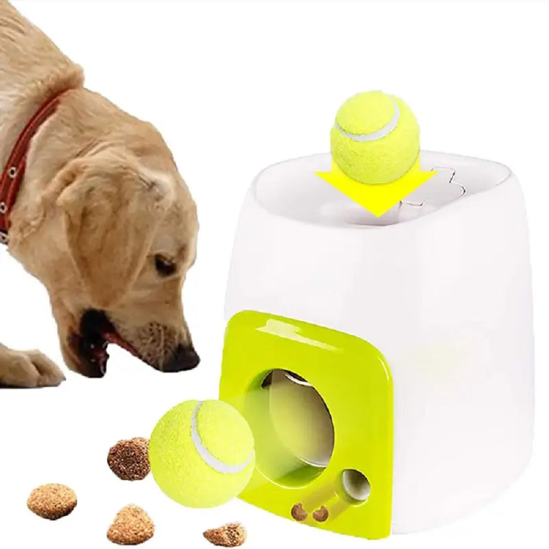 Chien profitant d’un jouet interactif avec une balle de tennis et un distributeur de friandises