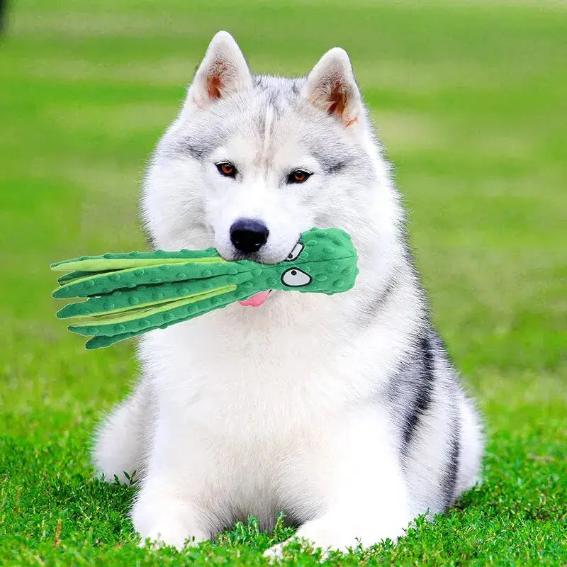 Chien Husky tenant une peluche Octopus Sound - peluche avec mécanisme sonore
