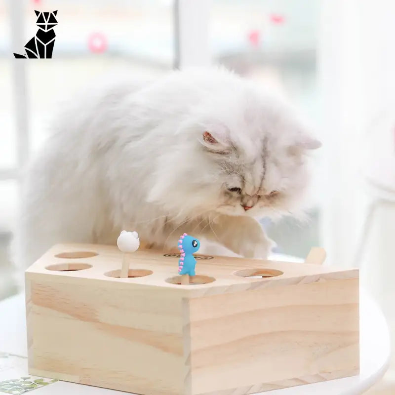 Le chat s’amuse avec le jouet interactif de la souris en bois, qui stimule l’instinct de chasse