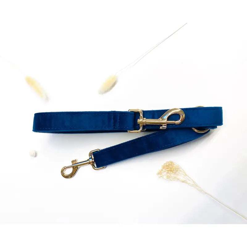 Laisse Multiposition Velours Bleu Marine