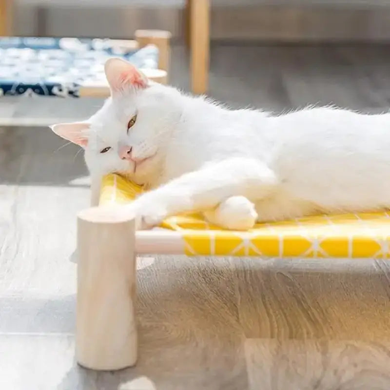 Lit Pour Chat En Hauteur: Le Repos Parfait Pour Votre Félin Bien-aimé