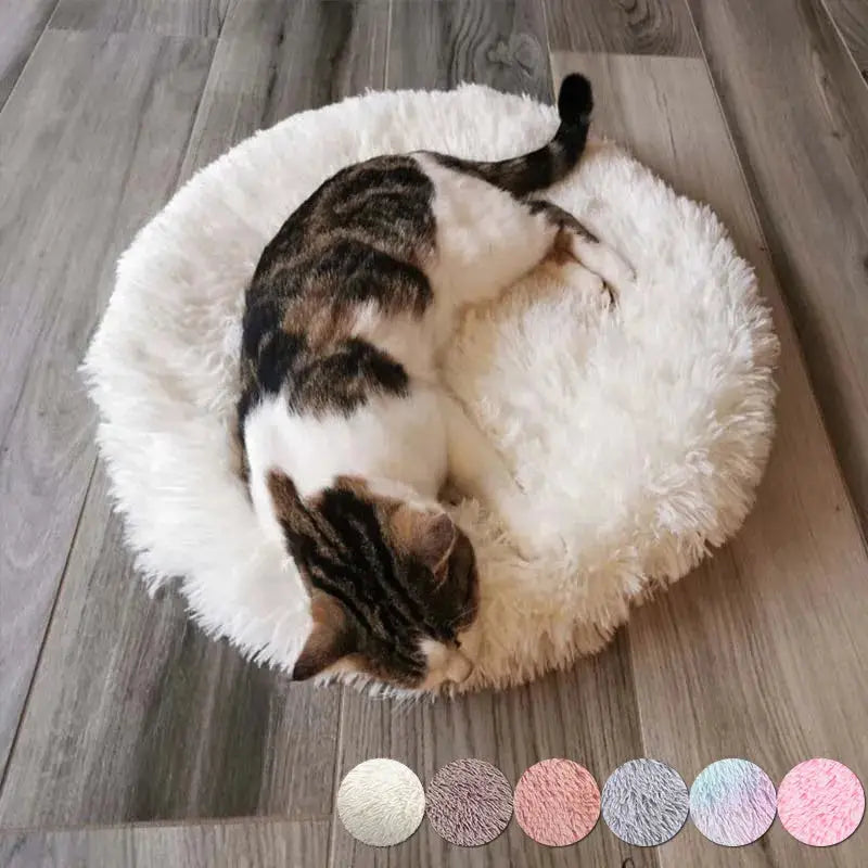 Chat gris dormant dans un lit rond sur un tapis cercle blanc et rose pour petits animaux
