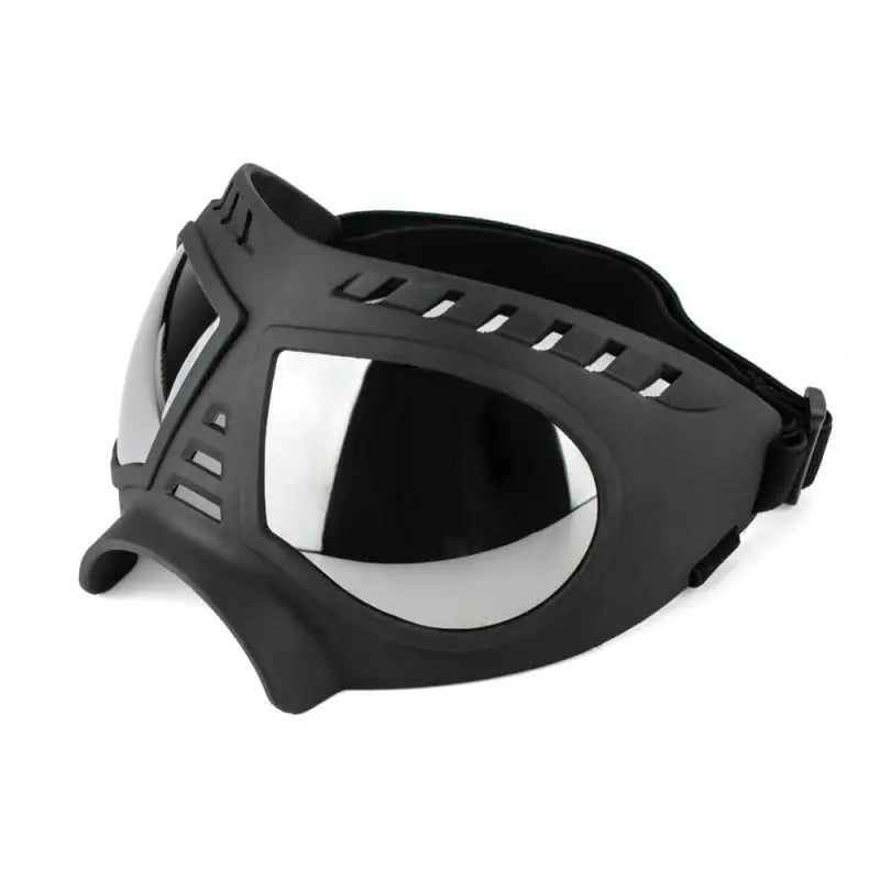 Lunettes de protection noires avec verres blancs pour chiens : confortables, élégantes et parfaitement ajustées