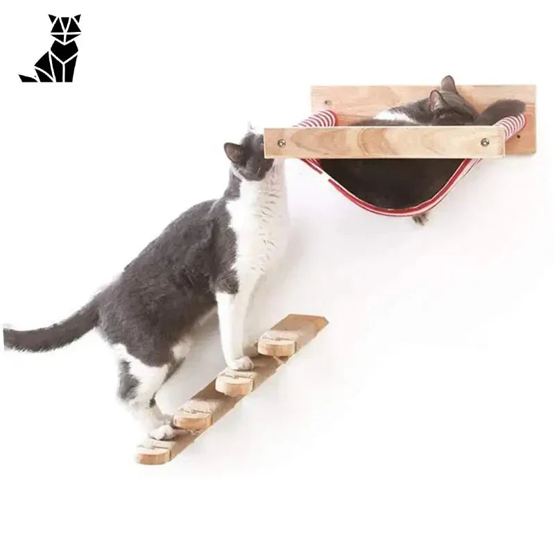 Chat jouant avec un jouet en bois sur Mur Escalade - vertical jeu unique