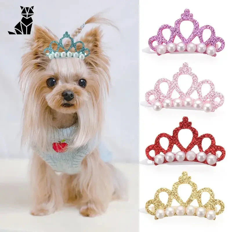 Chien portant un diadème avec des perles et des nœuds de Les nœuds en forme de couronne pour petits chiens - concept d’attache facile avec fausses perles