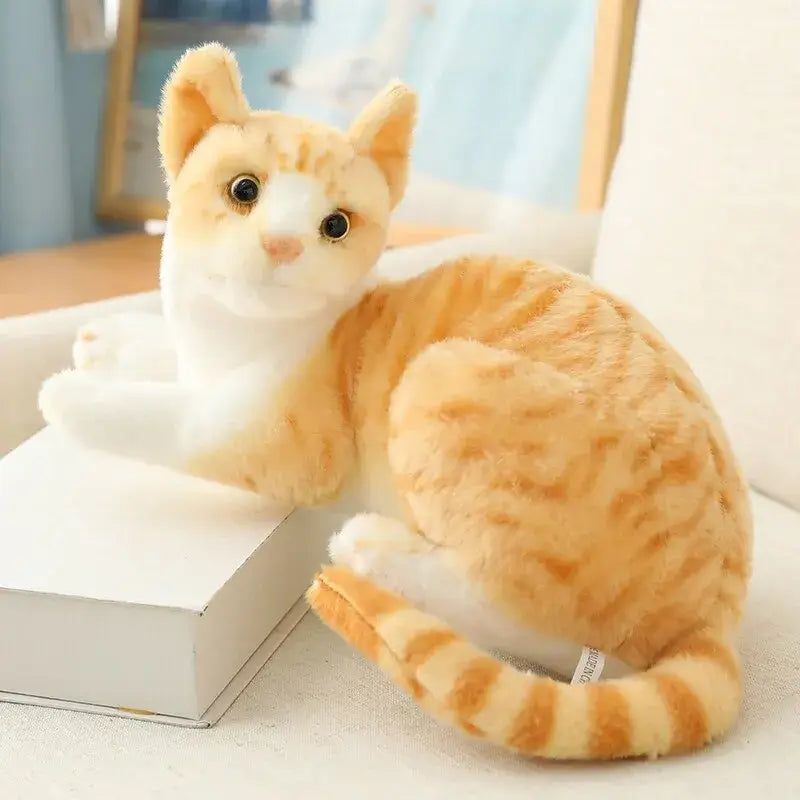 Peluche chat réaliste - peluche chat d’une douceur inégalée sur une boîte
