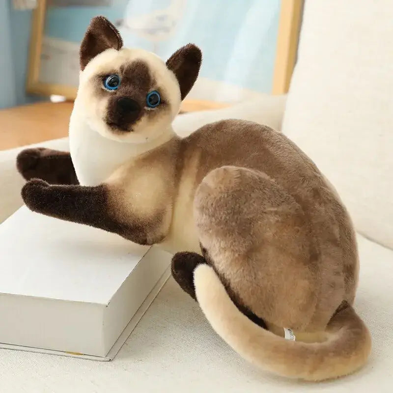 Jouet peluche chat réaliste - Douceur inégalée peluche chat assis sur le dessus d’une boîte