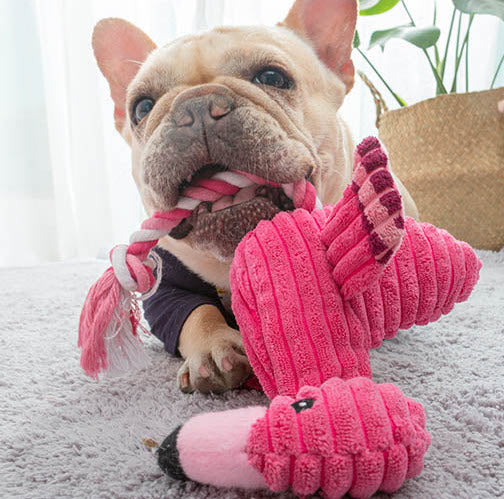 Peluche flammand rose pour chien