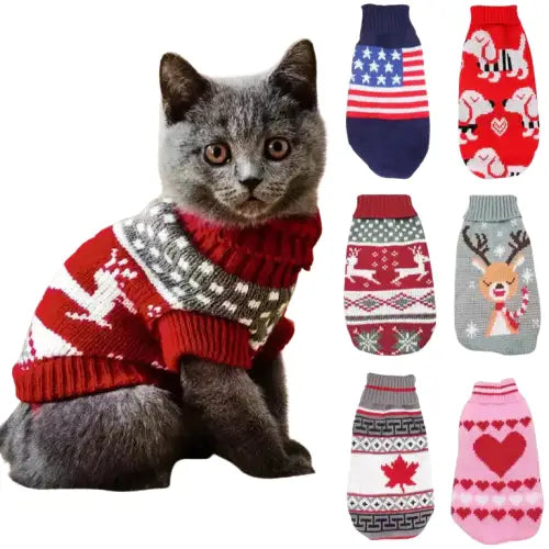Chat festif vêtu d’un pull et de chaussettes de Noël, illustrant la douceur de l’hiver et les plaisirs de la saison Transparent Background