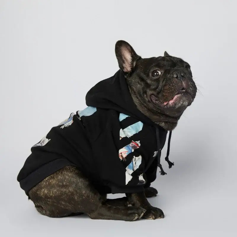 Mignon chien dans une veste noire et un nœud papillon de Dog Sweater : Chaud et élégant, parfait pour les animaux de compagnie