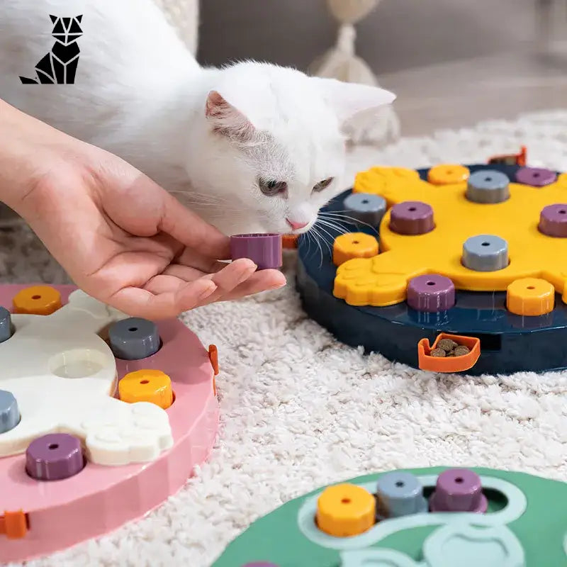 Chat profitant d’un jouet sur le sol du Puzzle interactif pour la santé digestive des chiens