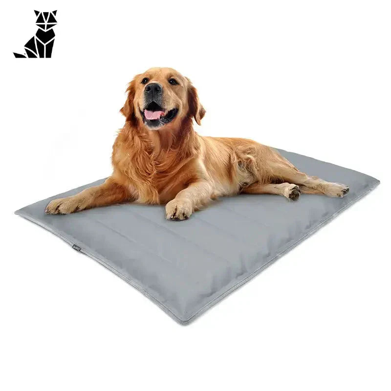 Tapis de refroidissement en gel non toxique pour chien - chien gel tapis rafraîchissant