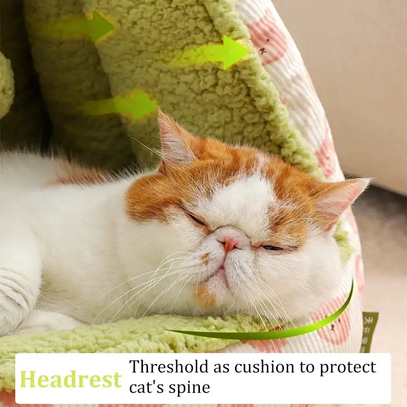 Adorable chat dormant dans un lit pour chat au motif unique, ’Tente au design unique pour le repos des félins